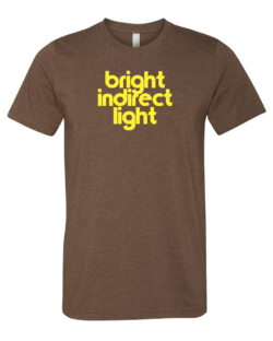 Bright Indirect Light Premium Tee